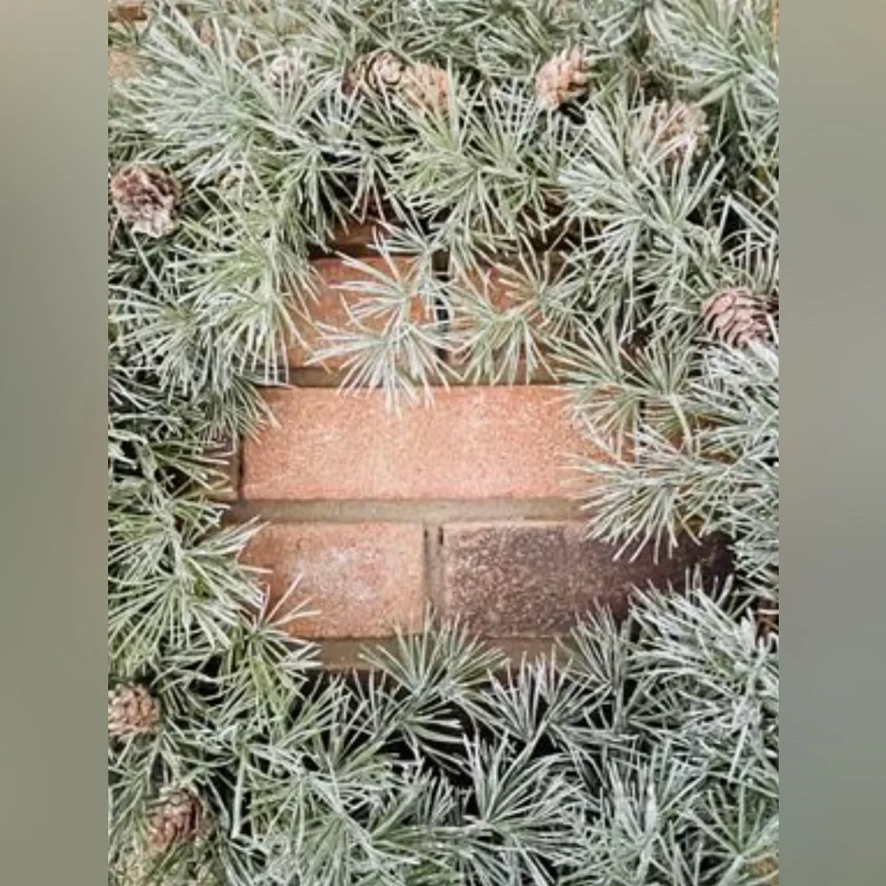 Weeping Pine Wreath